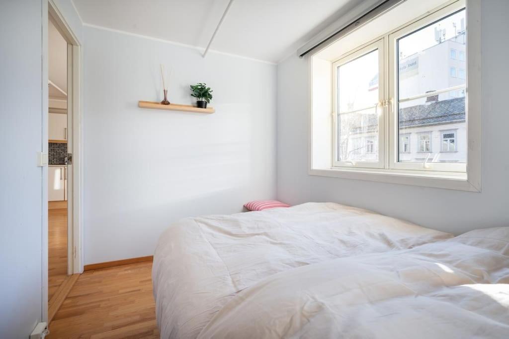 Charming In Centre Appartement Trondheim