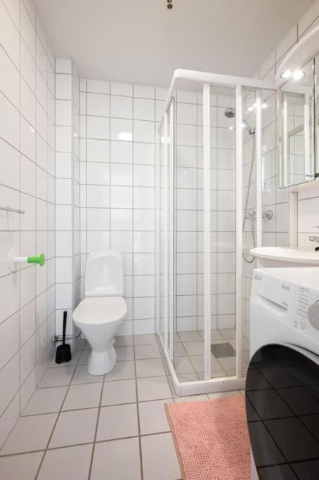 Appartement Charming In Centre Trondheim