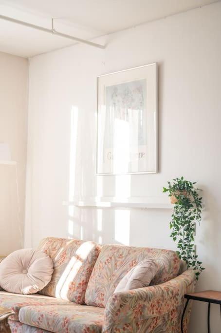 Appartement Charming In Centre